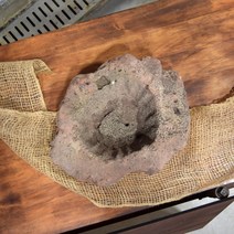 식집사 취미 DIY 석부작 화산석 화분 3호 개업 공기청정