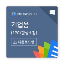 POLARIS 윈도우 전용 폴라리스 오피스 (기업용한글 MS오피스 호환다운로드키 제공), 단품