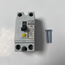 누전차단기 ELB2P 30A 산업용 상가 카페 공장