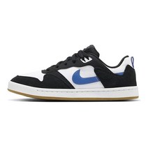 나이키 SB 앨리웁 CJ0882-104