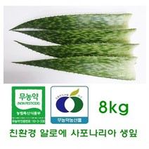 친환경 알로에사포나리아 생잎 8kg