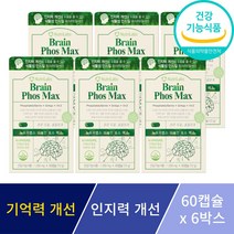 포스파티딜세린 징코 기억력 인지력 개선 은행잎추출물 뇌 두뇌 영양제 수험생 부모님 선물 사은품 증정, 6박스