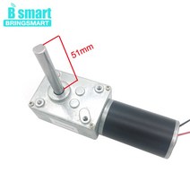 싱크로너스 모터 5840-31ZY 웜기어 모터 DC 12 24V 고 토크 반전 자동 잠금 D 모양 51MM 연장 샤프트 가정, [02] 12v 260rpm, [05] package R, 02 12V 12rpm_05 package R