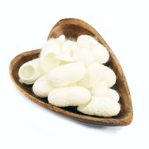 자연초 누에고치 50g, 2개