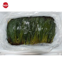 국내산 명이나물 업소용 15kg 울릉허브 산마늘 장아찌 절임 대용량 명이절임, 국내산 명이절임(매운맛) 15kg