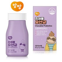 앙팡 키즈 어린이 츄어블 유산균 1000mg x 60정