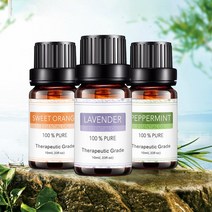 식물성 퓨어 라벤터 유칼립투스 로즈마리 쟈스민 로즈 아로마 테라피 에센셜 오일 5종 10ml M10990, 로즈