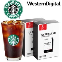 웨스턴디지털 울트라스타 NAS 패키지 HDD, 16TB, DC HC320 HUS728T8TALE6L4 2PACK