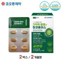 코오롱제약 기억력 혈행 징코 플러스 은행잎 추출물 플라보놀배당체 캠페롤 플라보노이드 GINKGO 빌로바 뇌 영양제 효능, 30정 x 2박스 / 2개월분