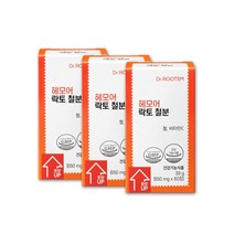 고함량 철분 비타민C 비헴철 여성 임산부 임신 청소년 철분제 영양제 비동물성 무부형제 3통