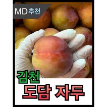 [제철과일] 김천 도담 자두 새콤달콤 산지직송 김천자두, 2kg(15~20과), 1개