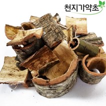 국산 벌나무 600g 가지 산청목 껍질 효능, 벌나무껍질 300gX2팩, 2개