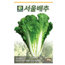 서울배추씨앗조선배추 20g, 2개