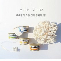 RT 고양이캔 참치와 닭고기 85g 박스24개입 캣푸드, 박스(24개입)