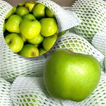 [프레시러시] 아삭한 초록사과 아오리 2kg 3kg 가정용 특품 청사과, 가정용 3kg(10~13과), 1개