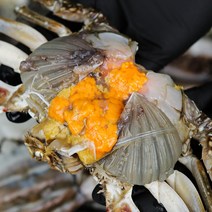 그대의밥상 산지직송 태안 신진도 빙장 활 알배기