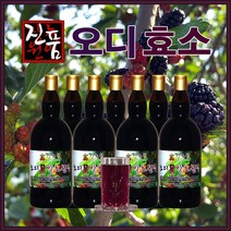 장녹원 오디효소 110ml, 1병