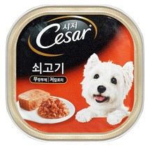 마즈 시저캔 소고기 100g 강아지 습식캔, 단품
