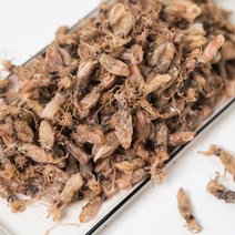 오늘의바다 국산 햇 건 꼴뚜기 마른 꼴뚜기 (당해 생산), 400g