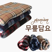 무릎담요 대형무릎담요차량용담요차량용무릎담요무릎담요빅사이즈150*100