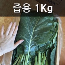 친환경 유기농 케일 쌈용 즙용, 즙용 1kg, 1개