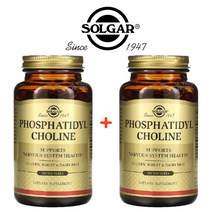 Solgar 대두 레시틴 포스파티딜콜린 840mg 100정 2팩