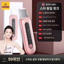 각질제거기 피지 블랙헤드 워터필링기 피부마사지기 아쿠아필기계 갈바닉 피지제거기, (황성의 동일모델 - 파우더】초음파진동+EMS텐션+블랙