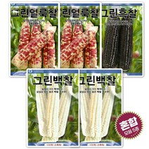 옥수수씨앗 종자 혼합 5종 세트 얼룩찰옥수수 백찰옥수수 흑찰옥수수 씨앗 모음, 1개