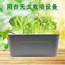 가정용 식물재배기 수경재배기 식물 재배기 무토재배설비 실내 베란다 채소신기 수경재배채기 스마트 수배채소, 옵션03, 크다