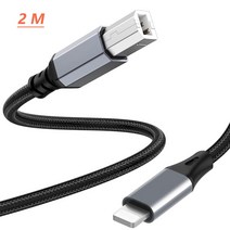 OTG-라이트닝 usb b 케이블 타입 B 미디 케이블 아이폰 13 아이패드용 미디 컨트롤러 전자 음악 악기, [02] For Lightning 2 M