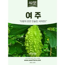 여주 씨앗(10립)