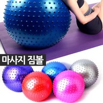 마이샵엑스포넷exponet_런웨이브 마사지짐볼 펌프포함 지압돌기 다이어트볼 공운동 볼 밸스쿠션 요가볼 스트레칭볼 밸스볼 가정용볼 헬스볼 용볼 멀티, 옵션품선택_마사지 지압짐볼75cm블루+펌프
