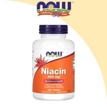 나우푸드 나이아신 나이아신아마이드 Niacin 비타민B3 500mg 250정