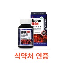 네추럴라이즈 액티브 철분 100캡슐 철분 영양제 철분 보충제 헤모그로빈 비헴철 임산부 철분 청소년 가임기 여성 철분제 캐나다 대용량 영양제 온가족 에너지생성 필수영양소 철분제, 1통, 100캡슐X3개