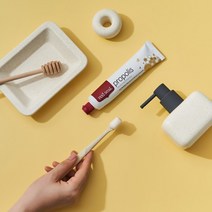 레드씰 프로폴리스치약 100g x 3개