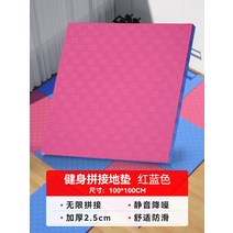 헬스장고무매트 바닥 고무블럭 충격흡수 층간소음 매트, 1x1m 두께 2.5cm 레드 블루
