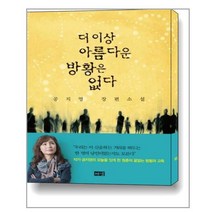 더 이상 아름다운 방황은 없다 / 해냄