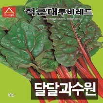 아시아종묘 근대씨앗 적근대-루비레드 (5g)