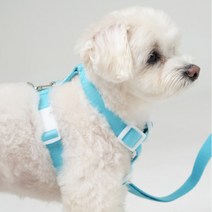 [스페이스독] 하네스 라이트 3종 H형 강아지 반려견 가슴줄, 스카이블루