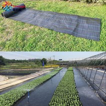 대형어닝 차양 비 가림막 파고라 전동 자동 Tewango 정원 마당 그라운드 천 커버 조경 헤비 듀티 잡초 장벽 블록 온실 플라스틱 멀치 맞춤형 크기, 05x10m
