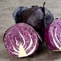 제주 적채 적양배추 5kg, 단품