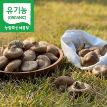 [해담은농장] 유기농 생표고버섯 1kg/4kg 국내산 참나무, 1개, 하품4kg