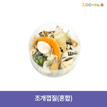 조개껍질 조개껍데기 170g 통포장