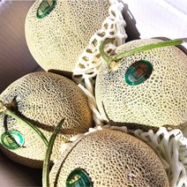 [다이아엘] 세론이멜론 세지메론 특상급 12 13brix 박스 4수 5kg, 세론이메론13brix 노란박스4수