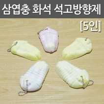 삼엽충 화석 석고방향제(5인) KTS
