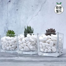 백자갈(소포장), 백자갈5호(1kg)