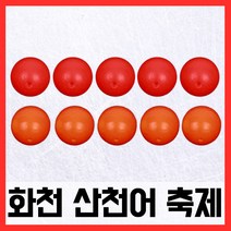 화천산천어축제 산천어찌(5개입), 단품