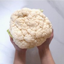 제주직송 생 콜리플라워 컬리플라워 라이스 볶음밥 2kg