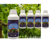 나무비료 시스타액제 500cc x 5개set 수용성 규산 sio3 포도나무 샤인머스켓키우기