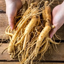 금산백년가족 인삼 무세척 삼계용 수삼 대 375g, 1팩